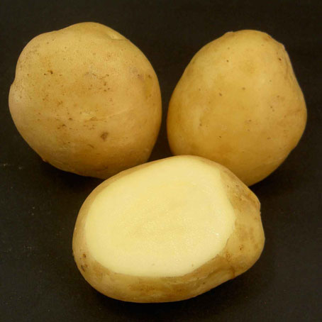 Jaerlas