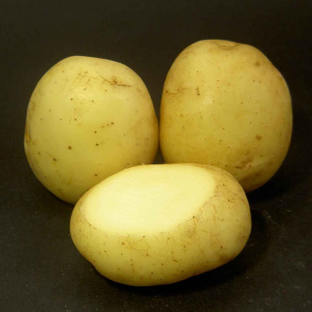 Marfona