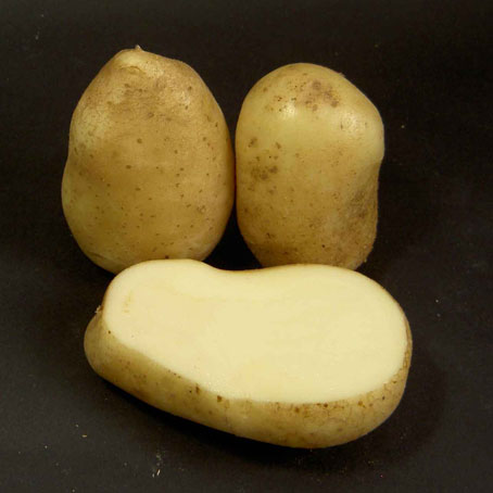 Nela