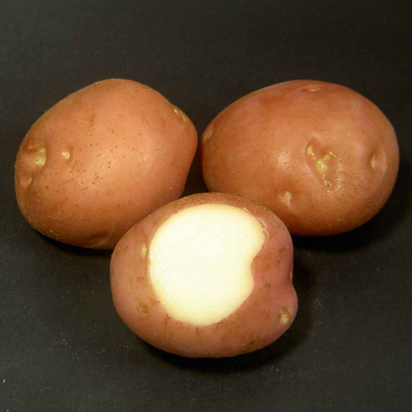 Romano